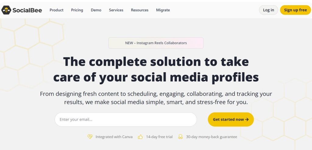 SocialBee - Best for Evergreen Content and Automation