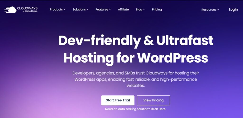 Cloudways - A flexible managed cloud hosting platform for WordPress.